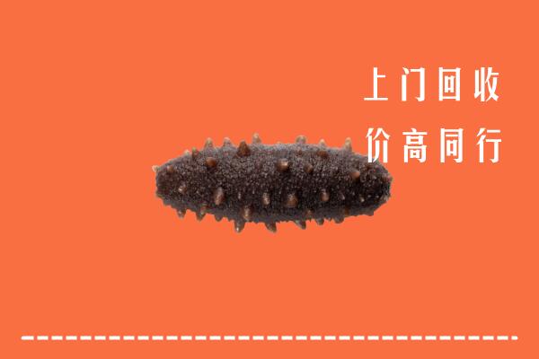 乃东区回收海参