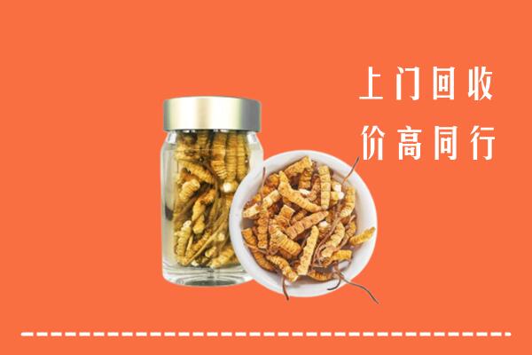 乃东区回收冬虫夏草