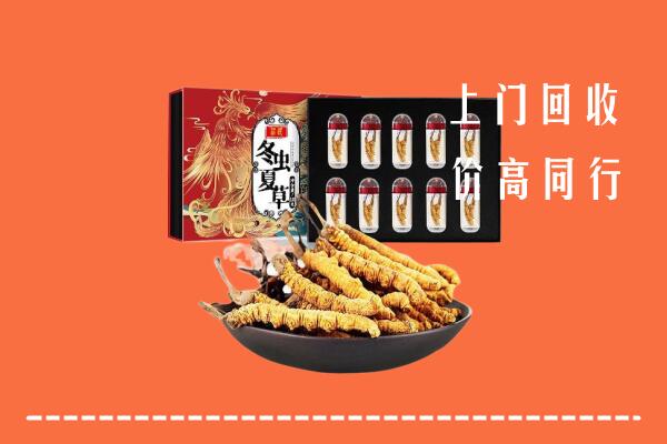 乃东区回收虫草